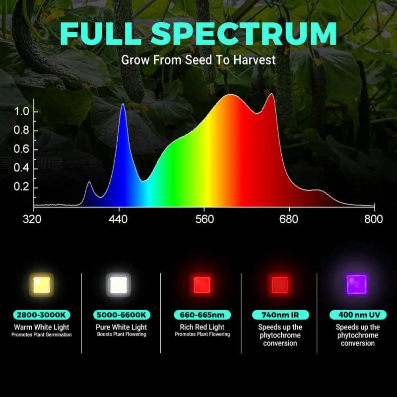 full sepctrum full sepctrum