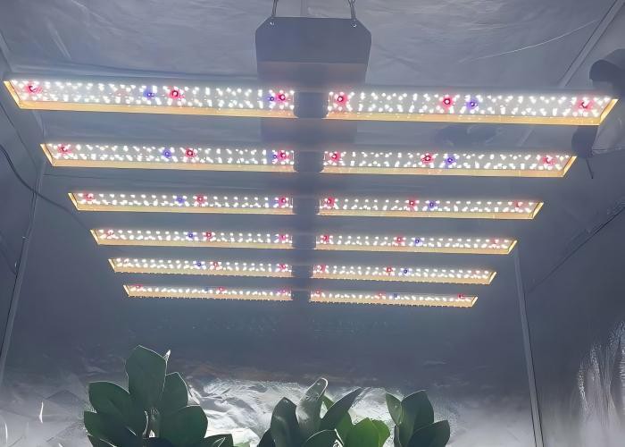 4-Channel Dimming Grow Lights 4-Channel Dimming Grow Lights