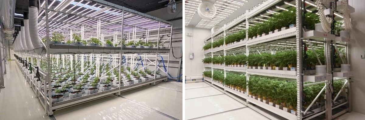 Multi-layer vertical grow racks (3).jpg Multi-layer vertical grow racks (3).jpg