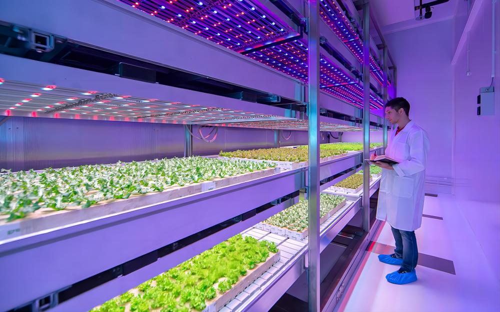Vertical Farming.jpg Vertical Farming.jpg